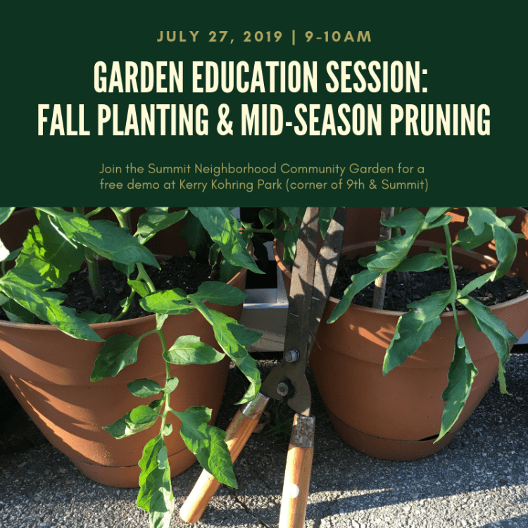 Garden Education Session_ Trimming and pruning tomatoes